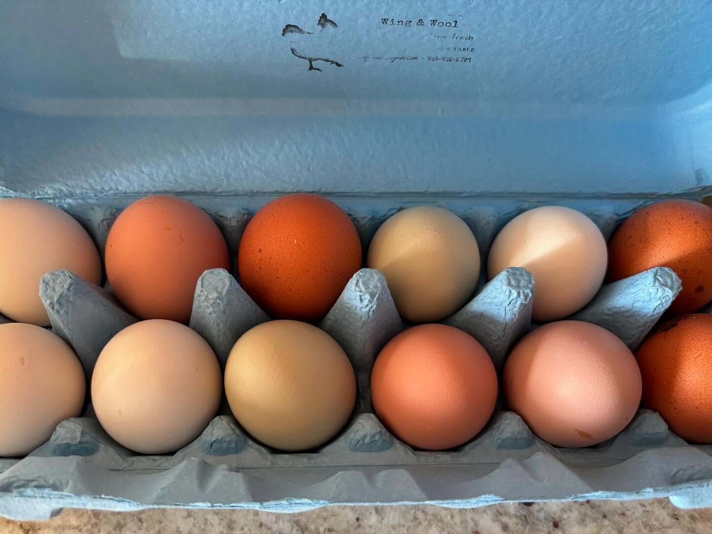 farm fresh egg csa share farm fresh egg csa share