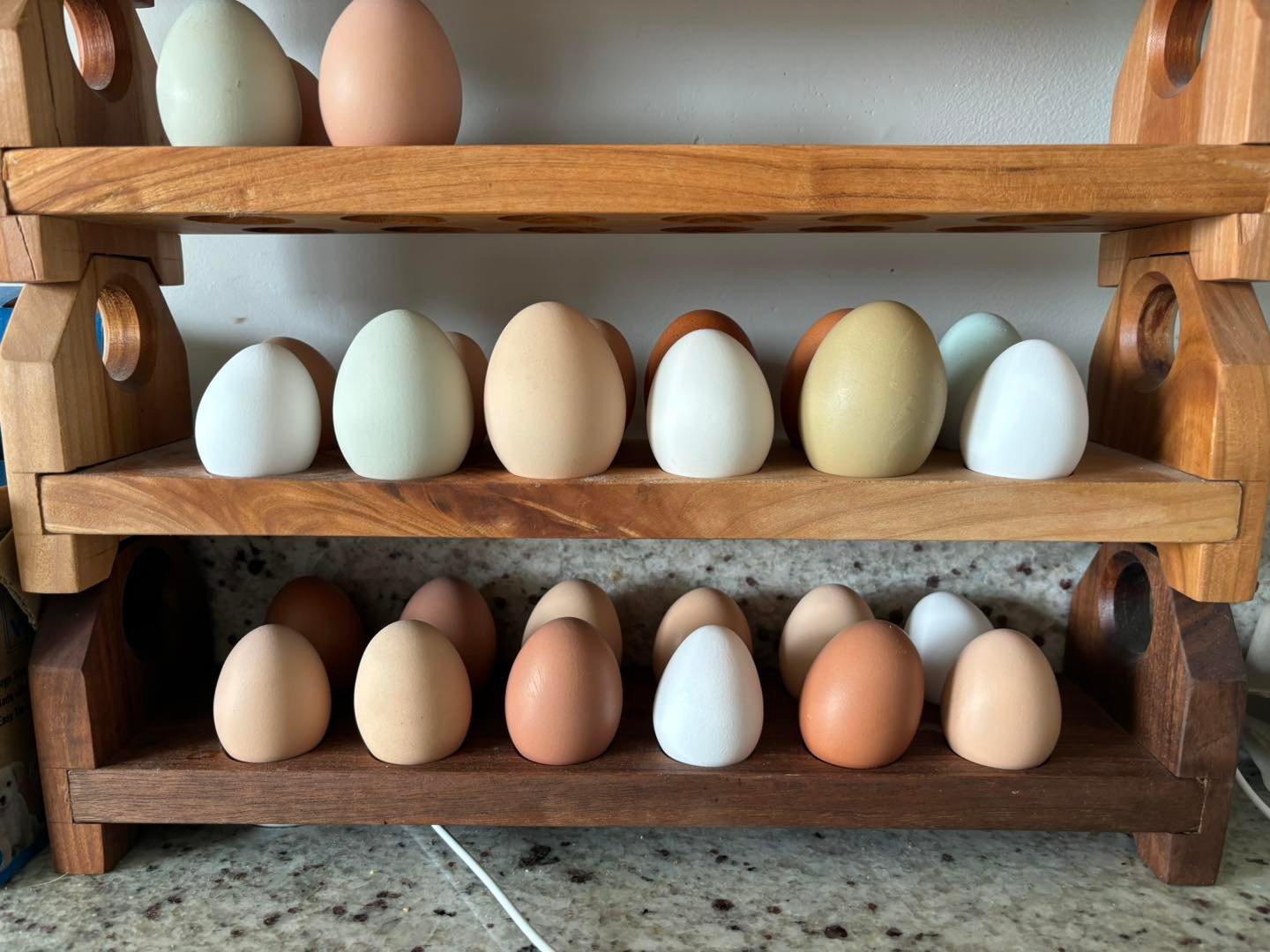 farm fresh egg csa share farm fresh egg csa share