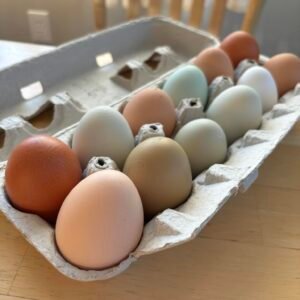 farm fresh egg csa share