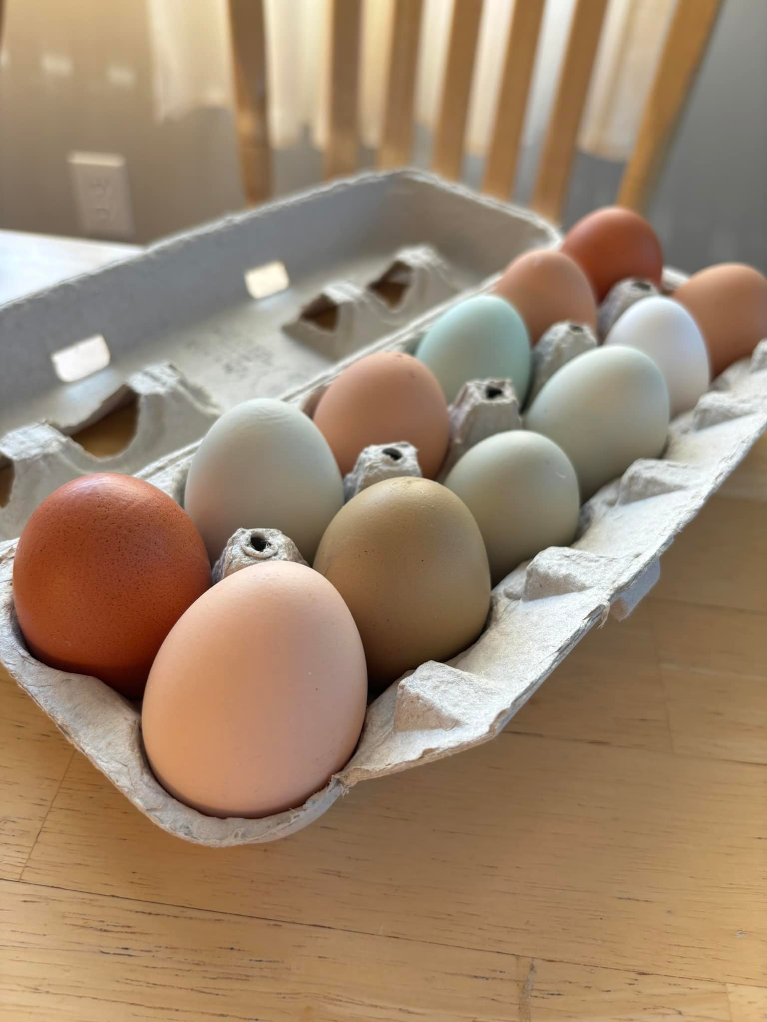 farm fresh egg csa share farm fresh egg csa share