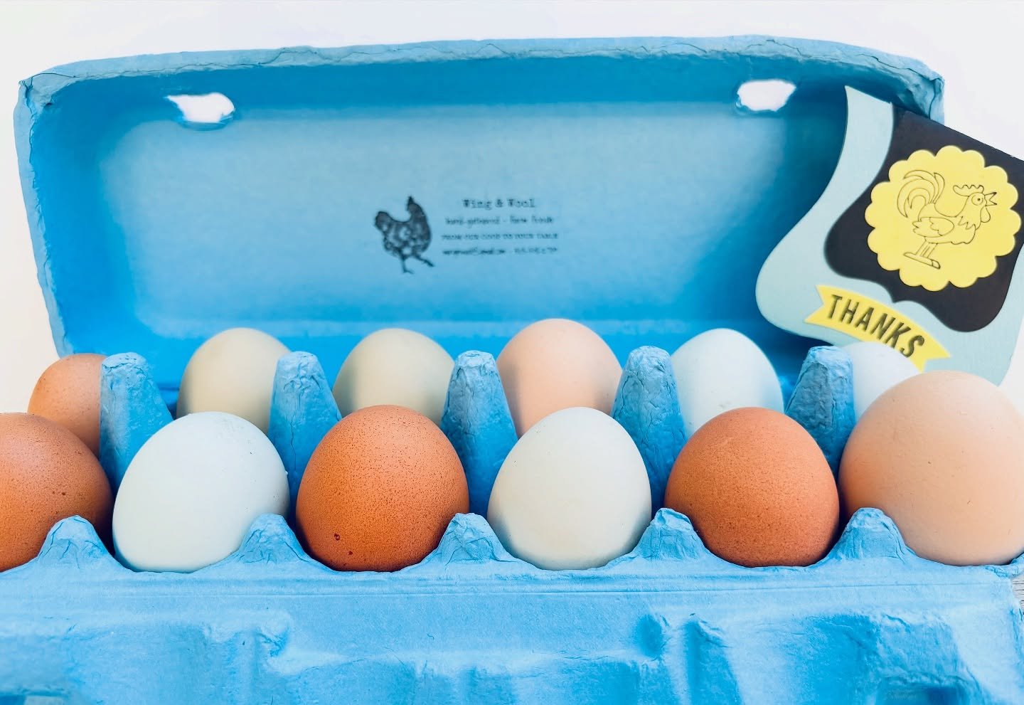 514842789_17994905294807568_20866247201750349_n Farm-Fresh Egg CSA Share — Weekly Dozen from Pasture-Raised Hens - Image 9